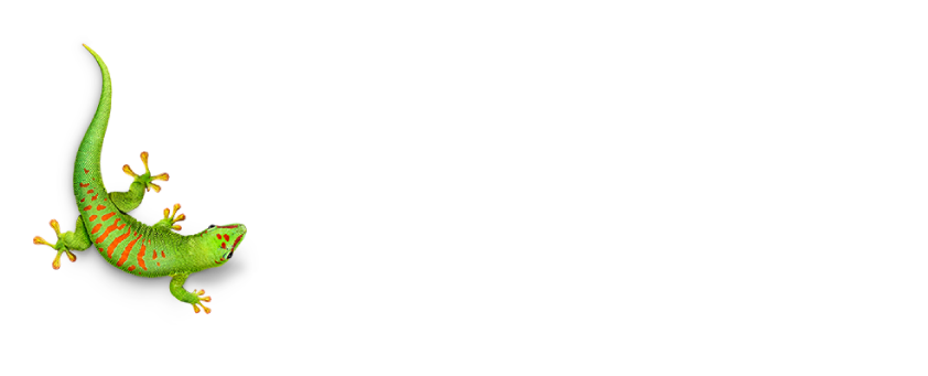 Accélérateur de caoutchouc liquide Bostik 1 lt